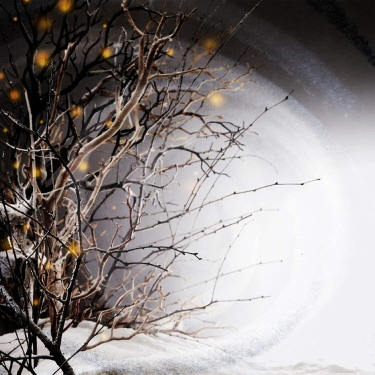 Winterlight - Winterlight   - VINYL LP