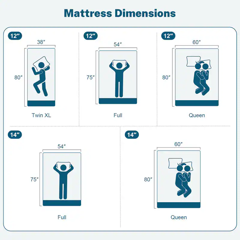 Mattress Dimensions

12" x 38" x 80" - Twin XL  
12" x 54" x 75" - Full  
12" x 60" x 80" - Queen  

14" x 54" x 75" - Full  
14" x 60" x 80" - Queen