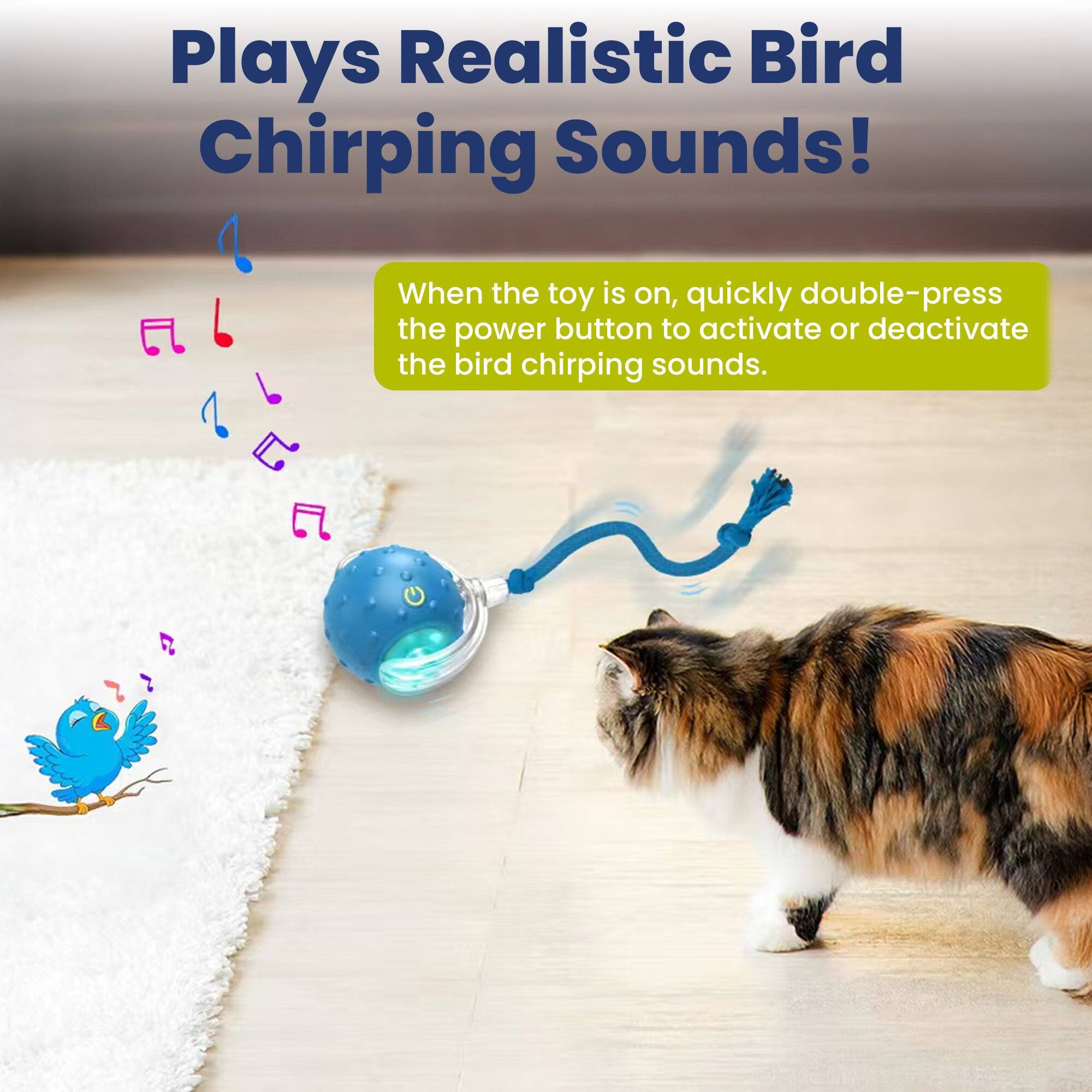 Plays Realistic Bird Chirping Sounds!

When the toy is on, quickly double-press the power button to activate or deactivate the bird chirping sounds.