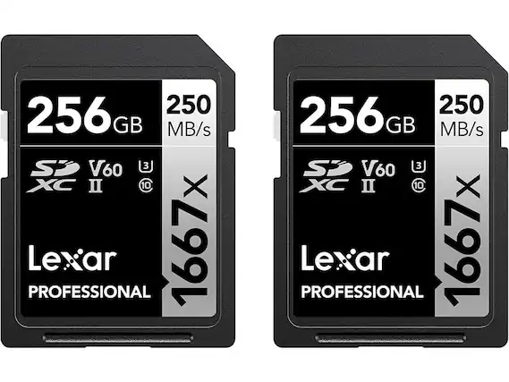 256 GB 250 MB/s V60 3J XC II C10 Lexar PROFESSIONAL 1667