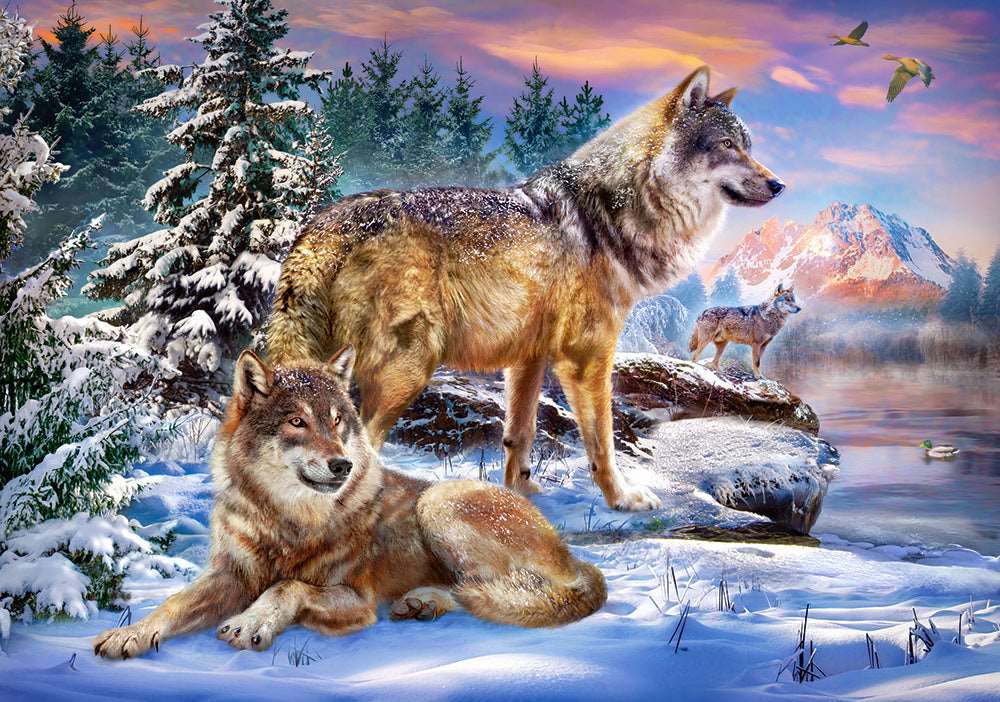 Angle. Castorland - CASTORLAND 500 Piece Jigsaw Puzzle, Wolfish Wonderland, Winter scenary, Animal Puzzle, Adult Puzzles, B-53049 - Red.