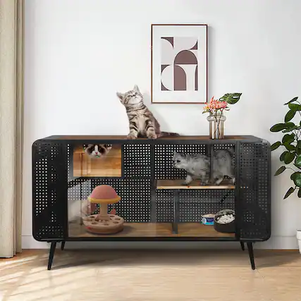 Front. Pefilos - 55" Cat House for Indoor Cats with Tempered Glass, Transparent Cat Playpen Cat Condo for Large Cats.