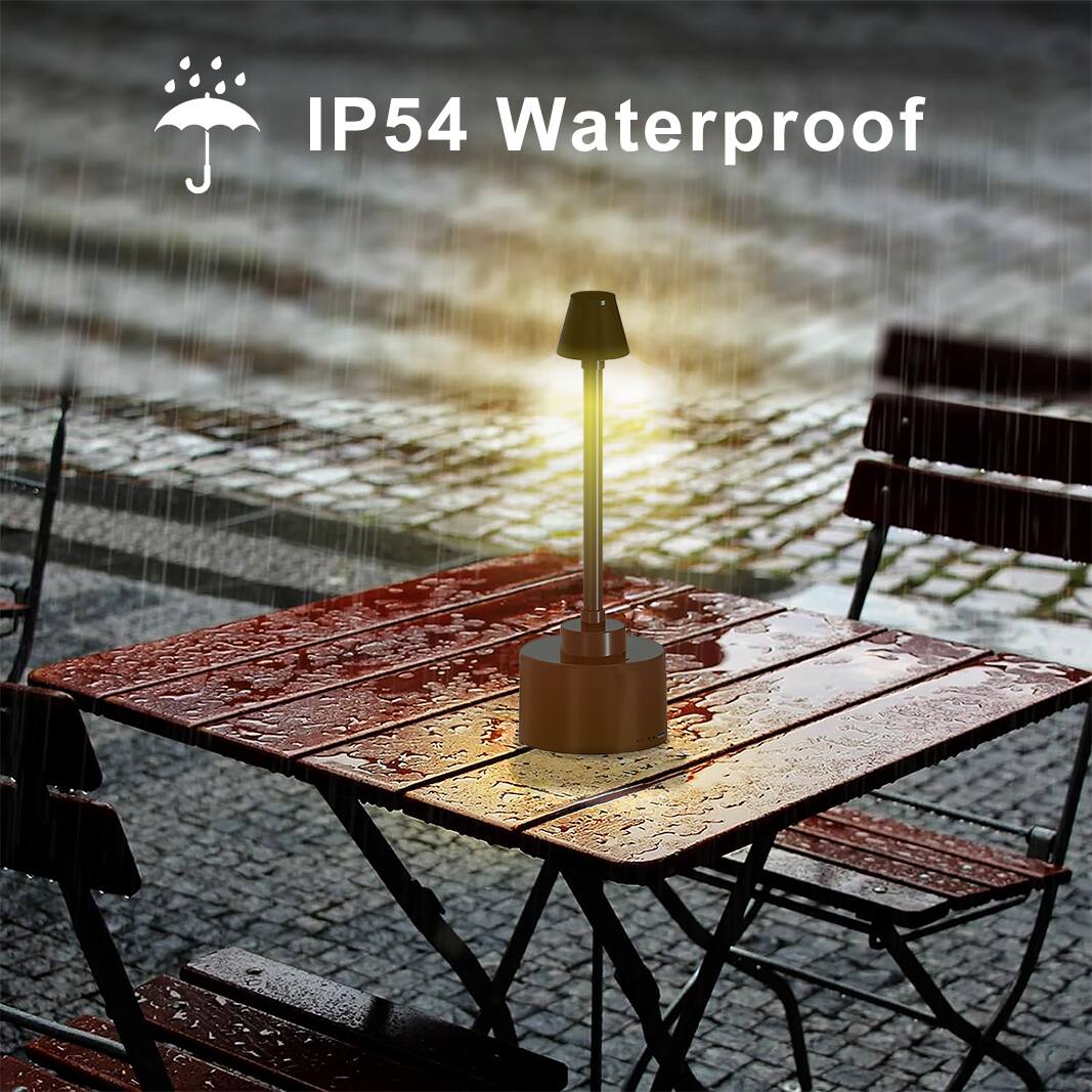 IP54 Waterproof