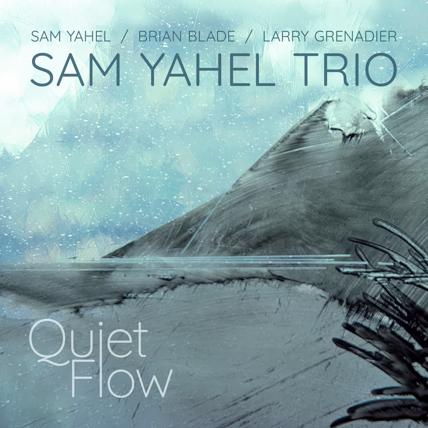 Sam Yahel - Quiet Flow   - COMPACT DISCS [CD] price history on PriceWatchPro