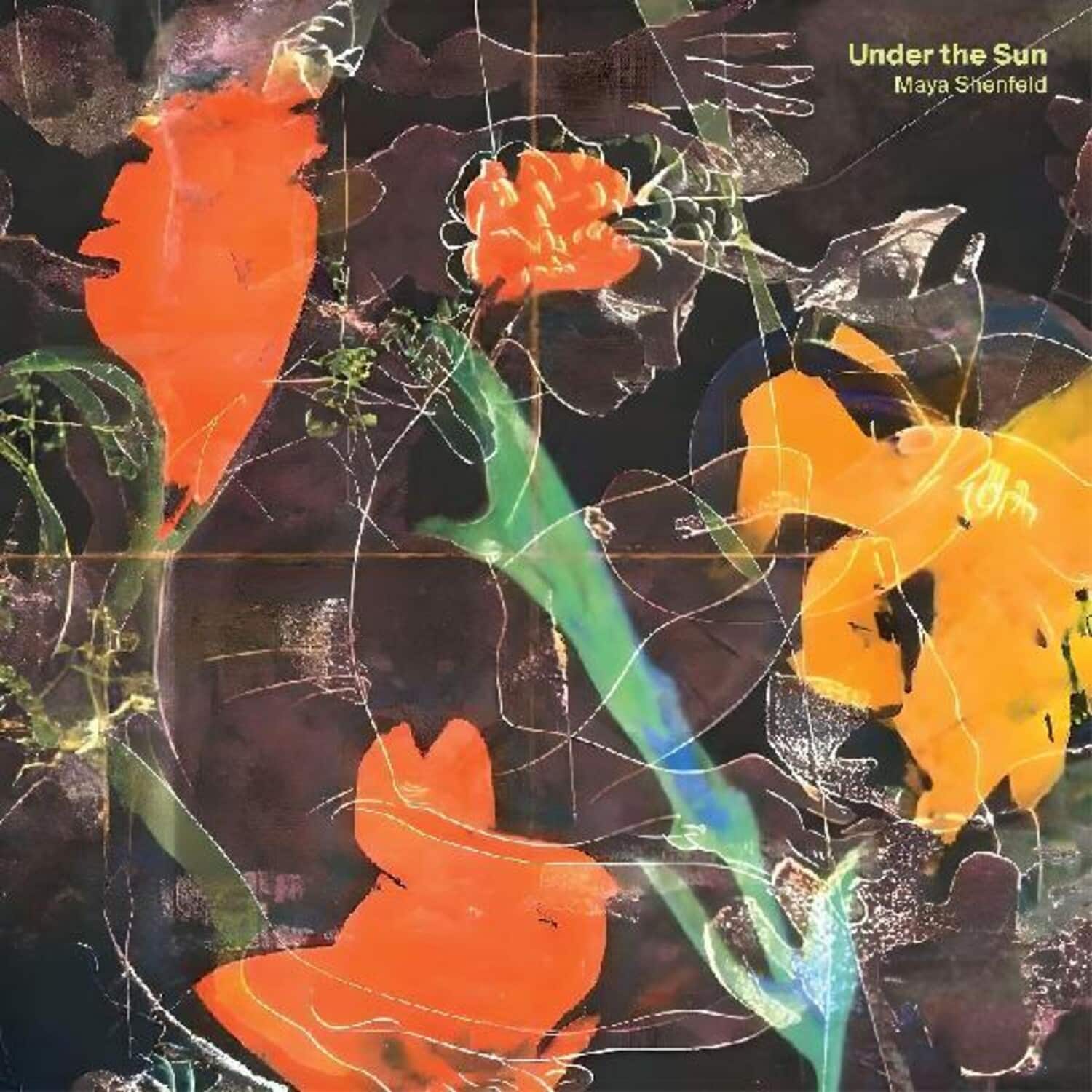 Maya Shenfeld - Under The Sun   - COMPACT DISCS [CD] price history on PriceWatchPro