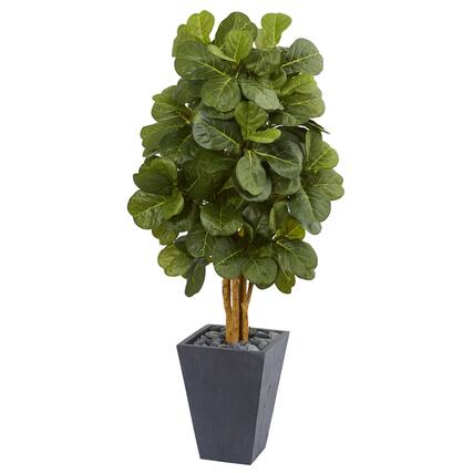 Front. BreeBe - 5.5' Fiddle Leaf Artificial Tree in Slate Planter - Green.