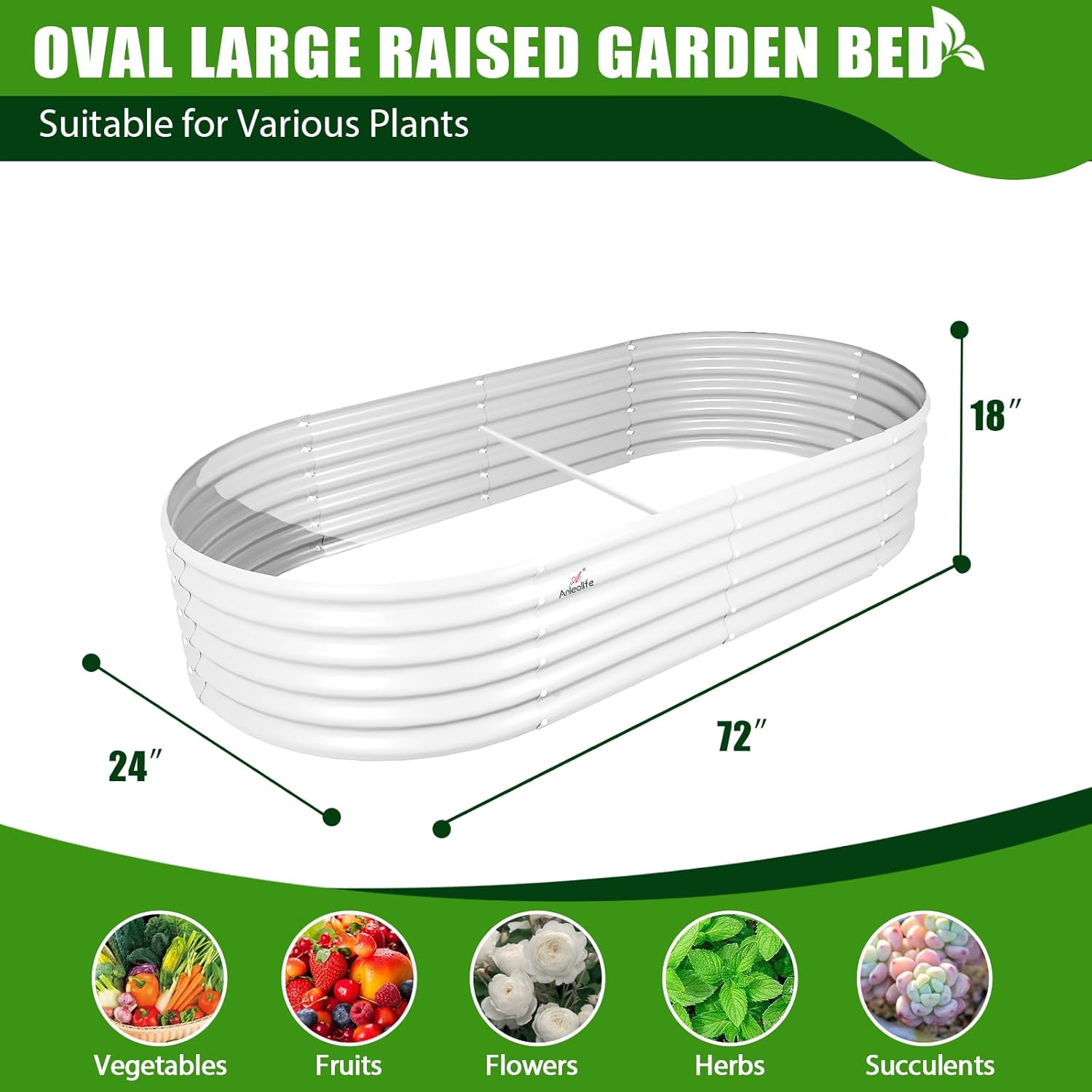 OVAL LARGE RAISED GARDEN BED  
Suitable for Various Plants  

18"  
24"  
72"  

Vegetables  
Fruits  
Flowers  
Herbs  
Succulents