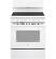 Front. GE - 5 Cu. Ft. Freestanding Electric Range with Self-Cleaning and Dual-Element Bake - White.