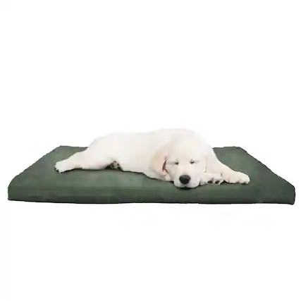 Front. PetMaker - Water-Resistant Dog Bed Orthopedic Dog Bed with Washable Cover, Non-Slip, and Egg Crate Style Foam 25.5in Small Pet Bed - Forest Green.