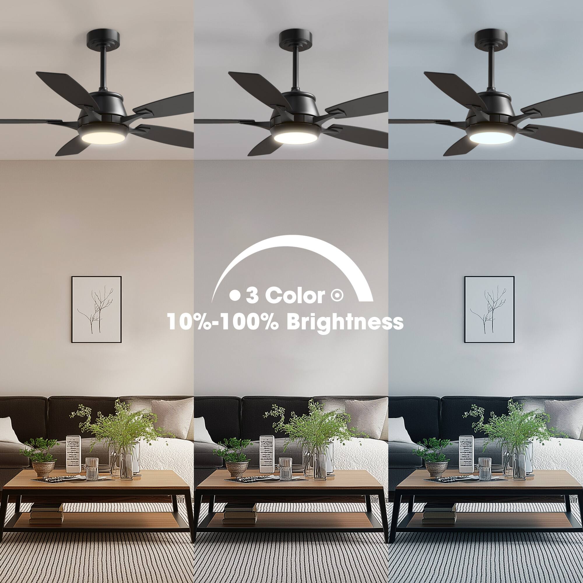 3 Color  
10%-100% Brightness