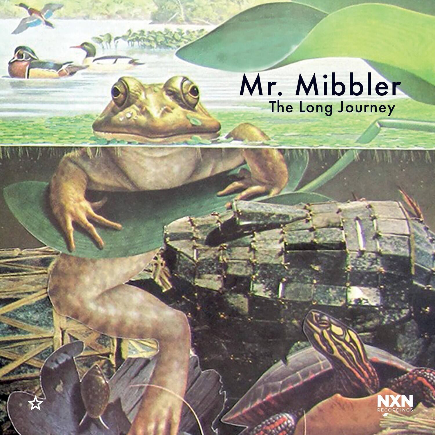 Mr. Mibbler  
The Long Journey  

NXN RECORDINGS