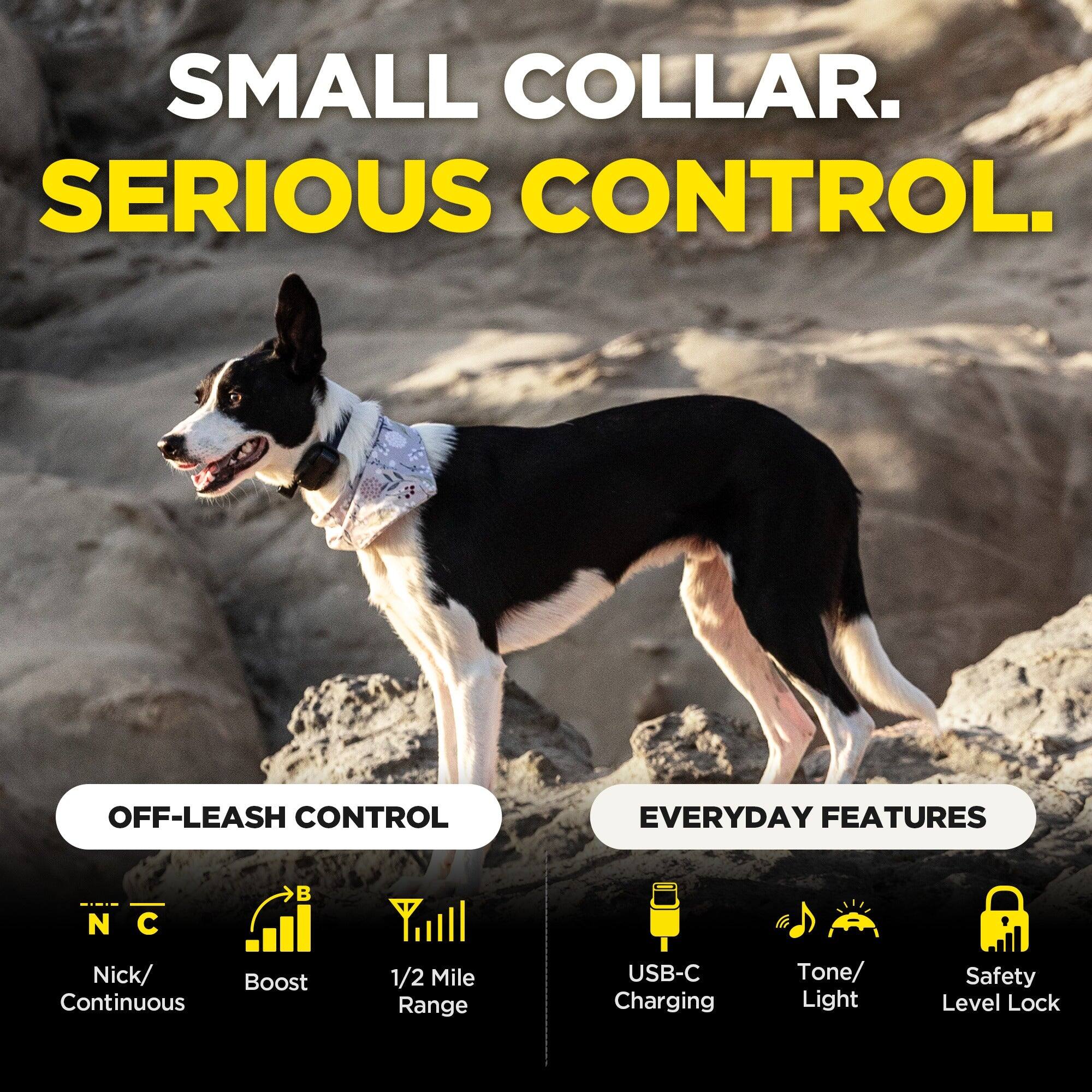 SMALL COLLAR. SERIOUS CONTROL.

OFF-LEASH CONTROL
- Nick/ Continuous
- Boost
- 1/2 Mile Range

EVERYDAY FEATURES
- USB-C Charging
- Tone/ Light
- Safety Level Lock