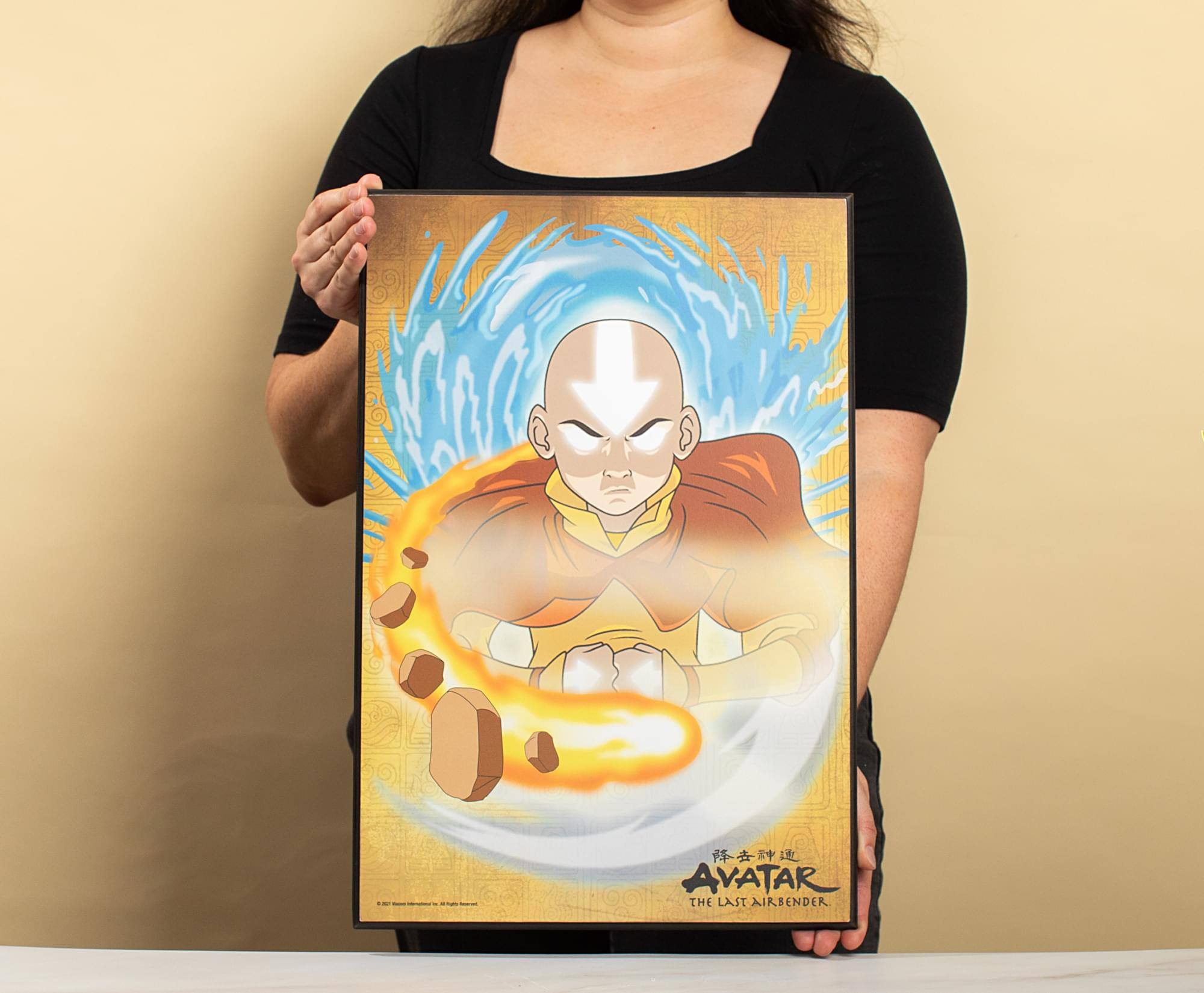 AVATAR THE LAST AIRBENDER
