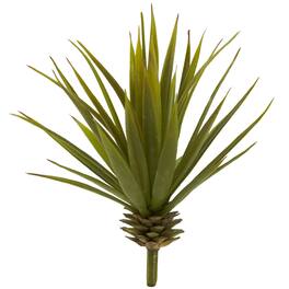 BreeBe - Mini Spiky Agave Succulent Plant (Set of 12) - Green