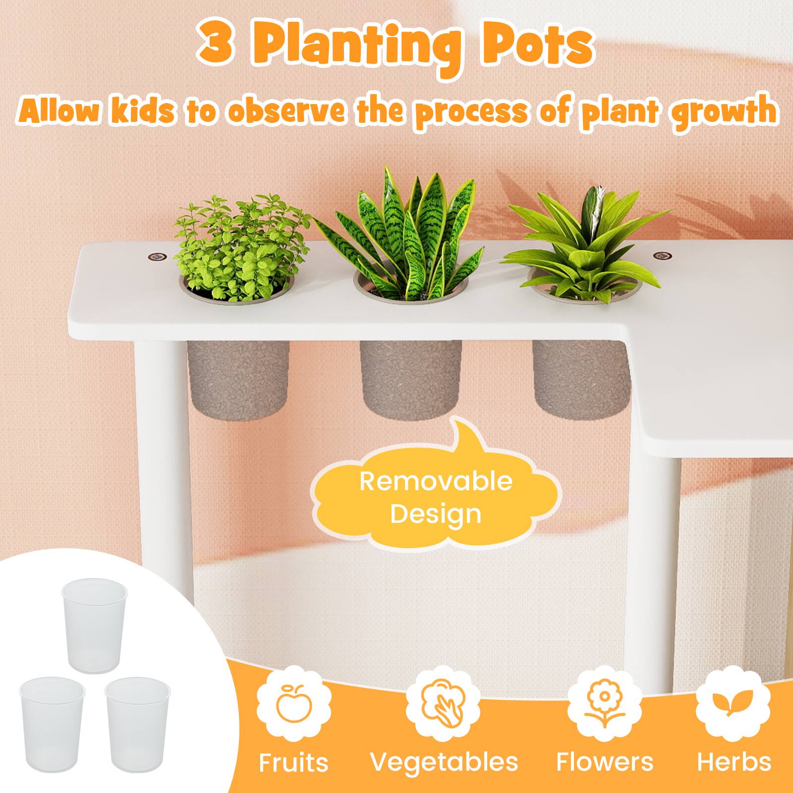 3 Planting Pots  
Allow kids to observe the process of plant growth  

Removable Design  

Fruits  
Vegetables  
Flowers  
Herbs