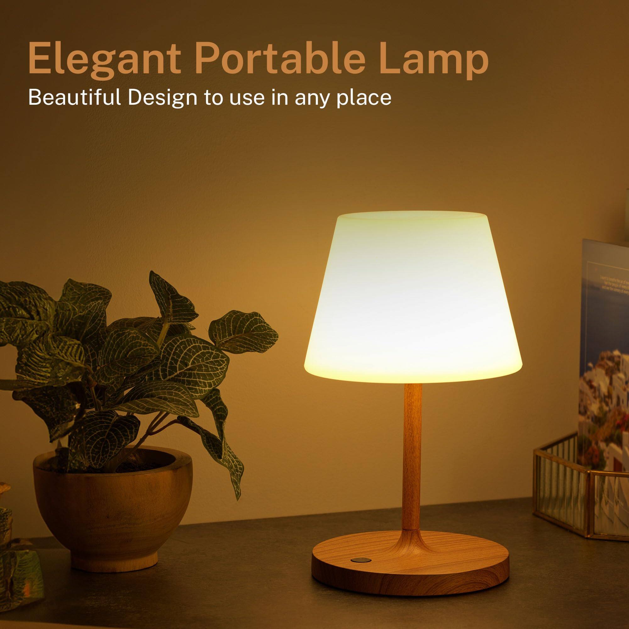 Elegant Portable Lamp  
Beautiful Design to use in any place