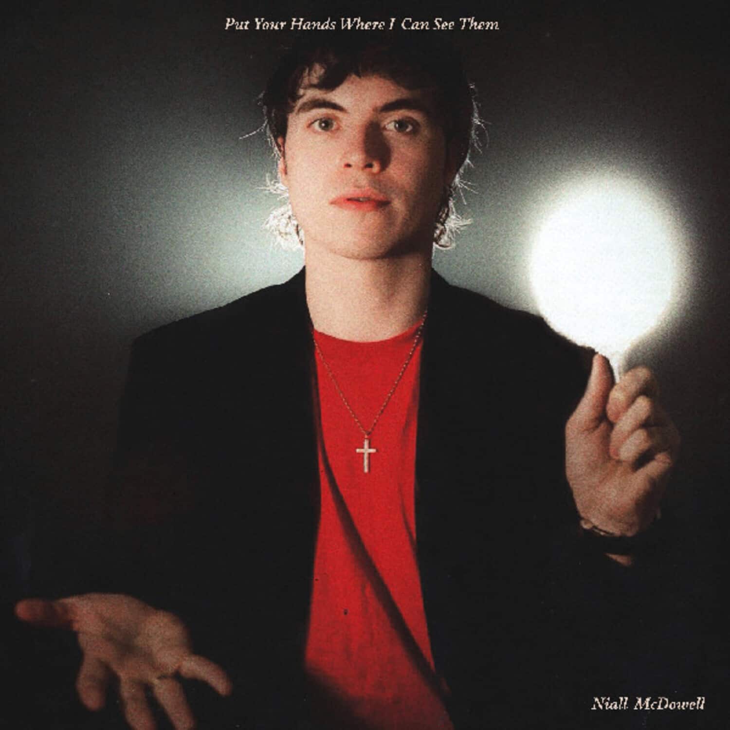 Niall McDowell - Put Your Hands Where I Can See Them   - VINYL LP price history on PriceWatchPro