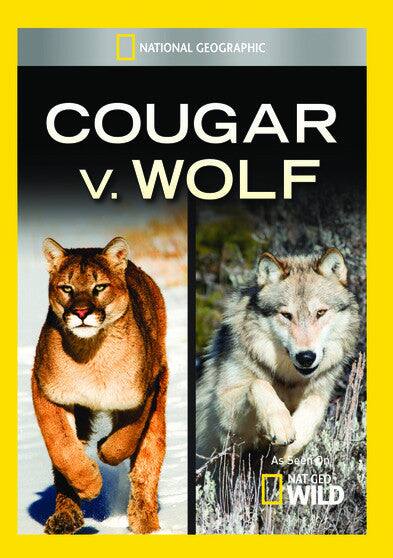 Front. Cougar v Wolf - DVD.