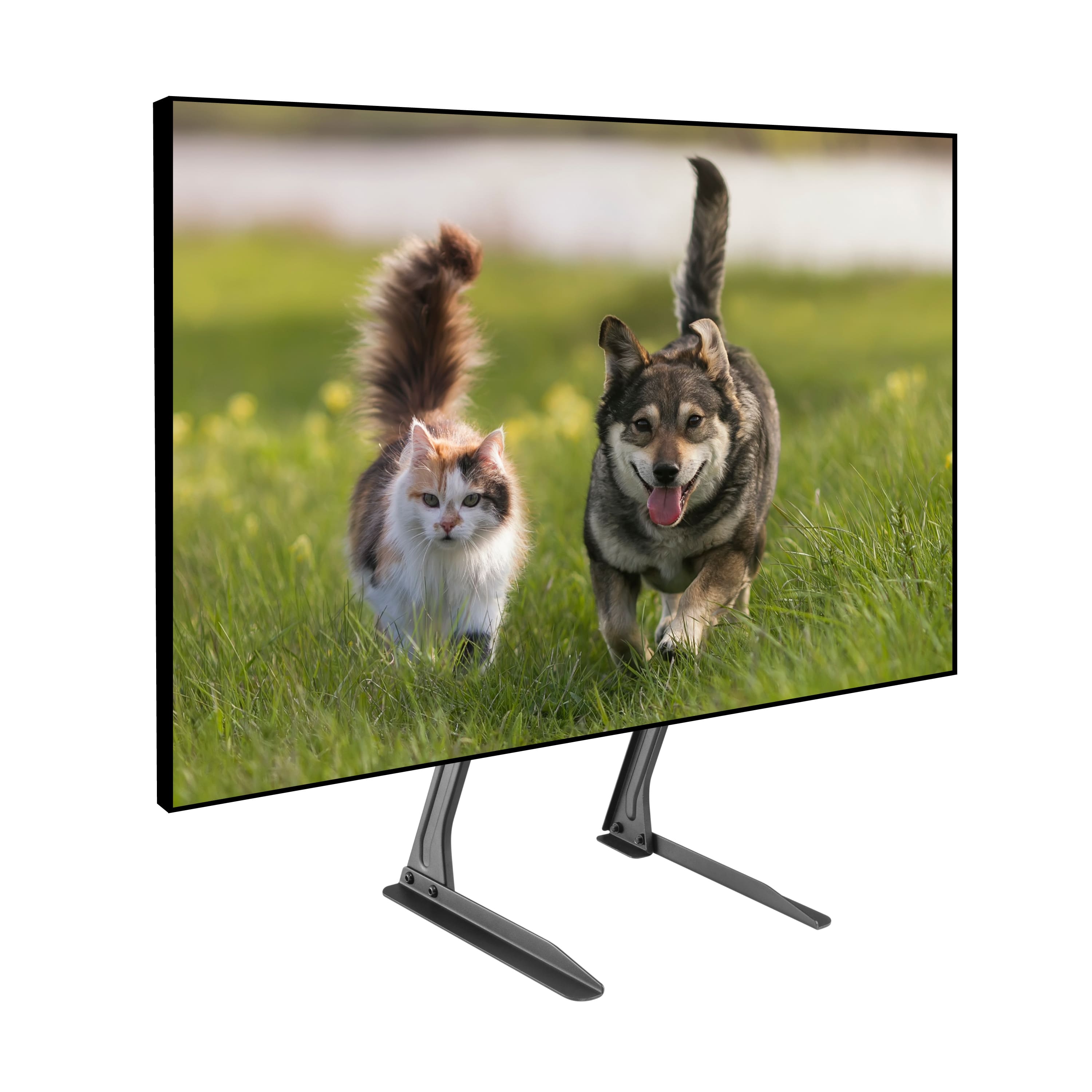 ProMounts - Tabletop TV Stand Mount – Height Adjustable Brackets for 13"–72" Displays, Supports Up to 110 lbs - Black