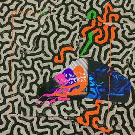 Animal Collective - Tangerine Reef - VINYL LP