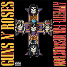 Guns N' Roses - Appetite for Destruction - VINYL LP