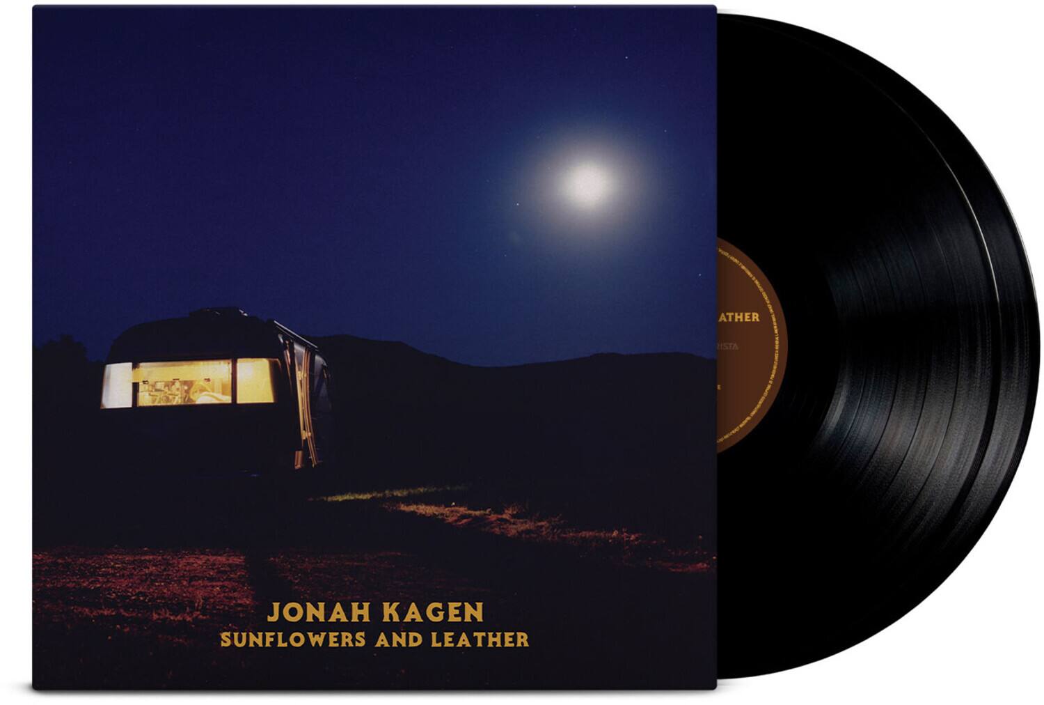 Jonah Kagen - Sunflowers And Leather   - VINYL LP price history on PriceWatchPro