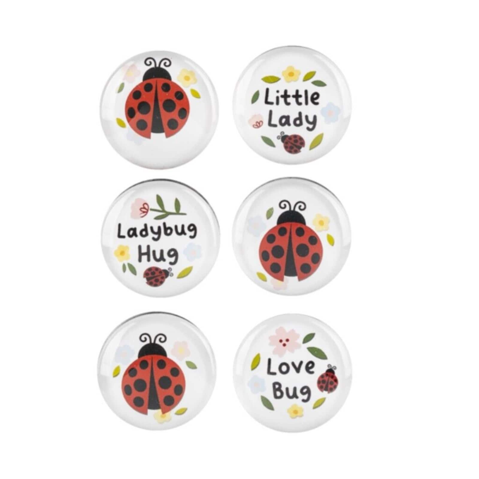 Ganz - Ladybug and Text Glass Magnets 6 Piece Set - White