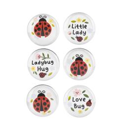 Ganz - Ladybug and Text Glass Magnets 6 Piece Set - White