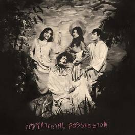 Immaterial Possession - Immaterial Possession - VINYL LP