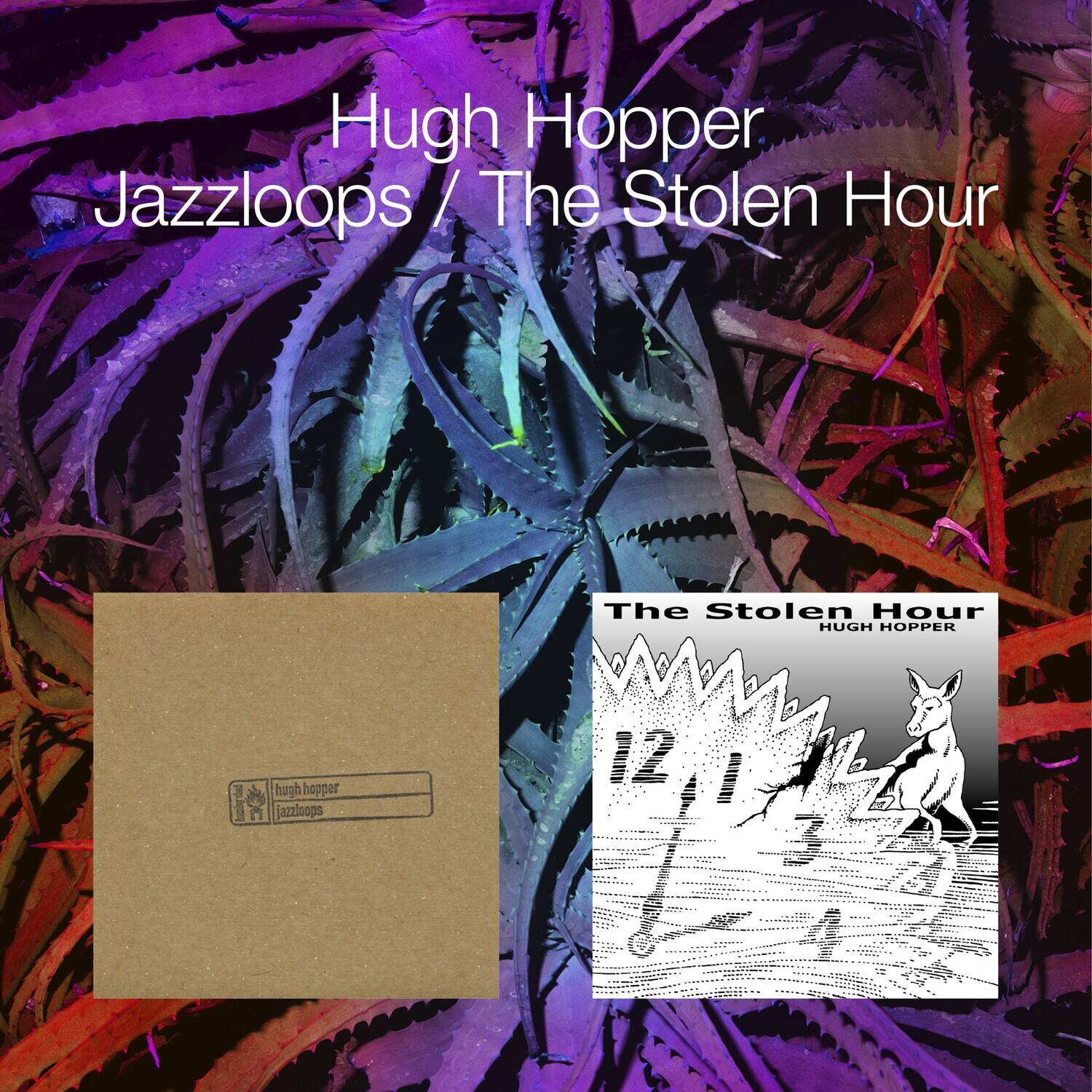 Hugh Hopper - Jazzloops / The Stolen Hour   - COMPACT DISCS [CD] price history on PriceWatchPro