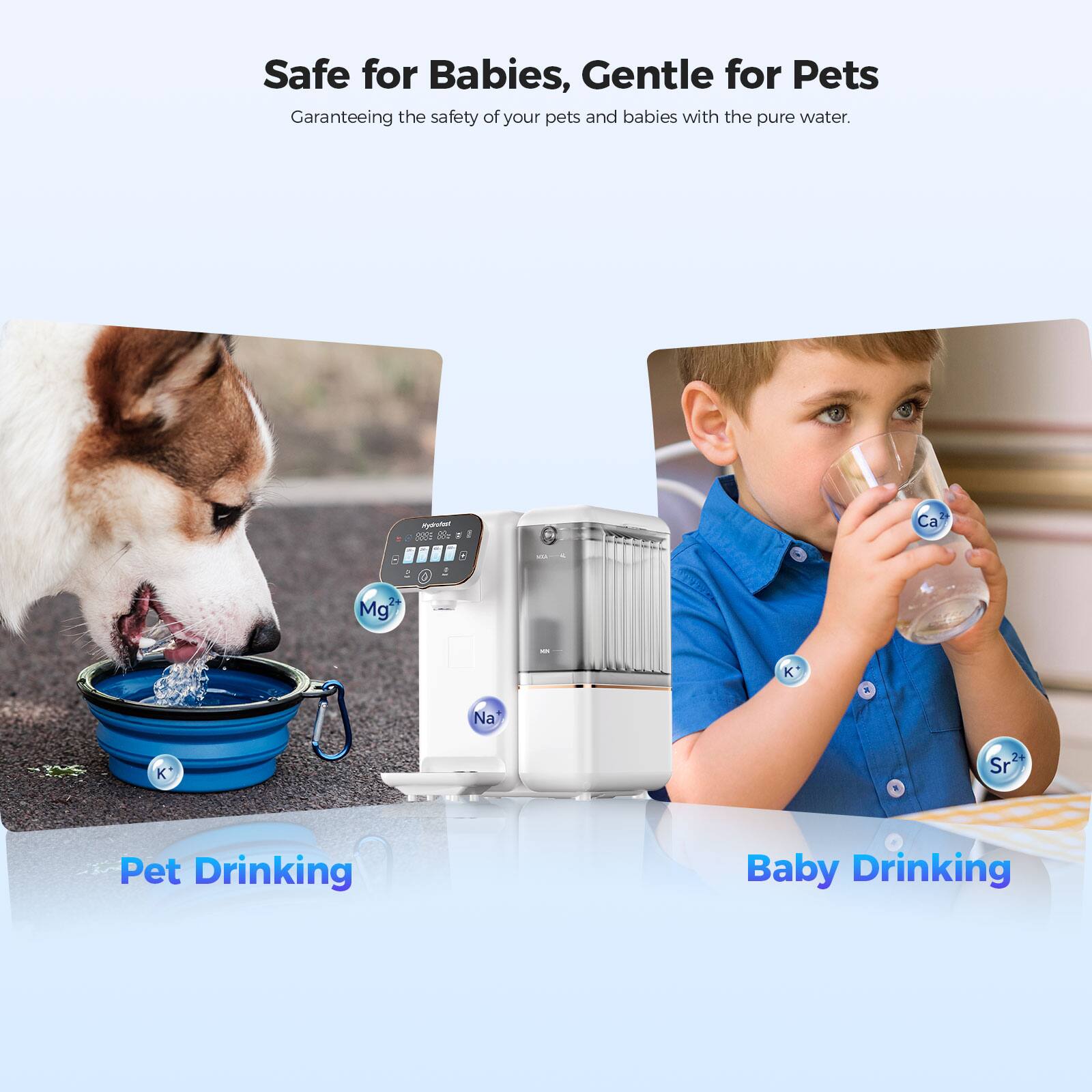 Safe for Babies, Gentle for Pets  
Guaranteeing the safety of your pets and babies with the pure water.

Pet Drinking  
Baby Drinking
