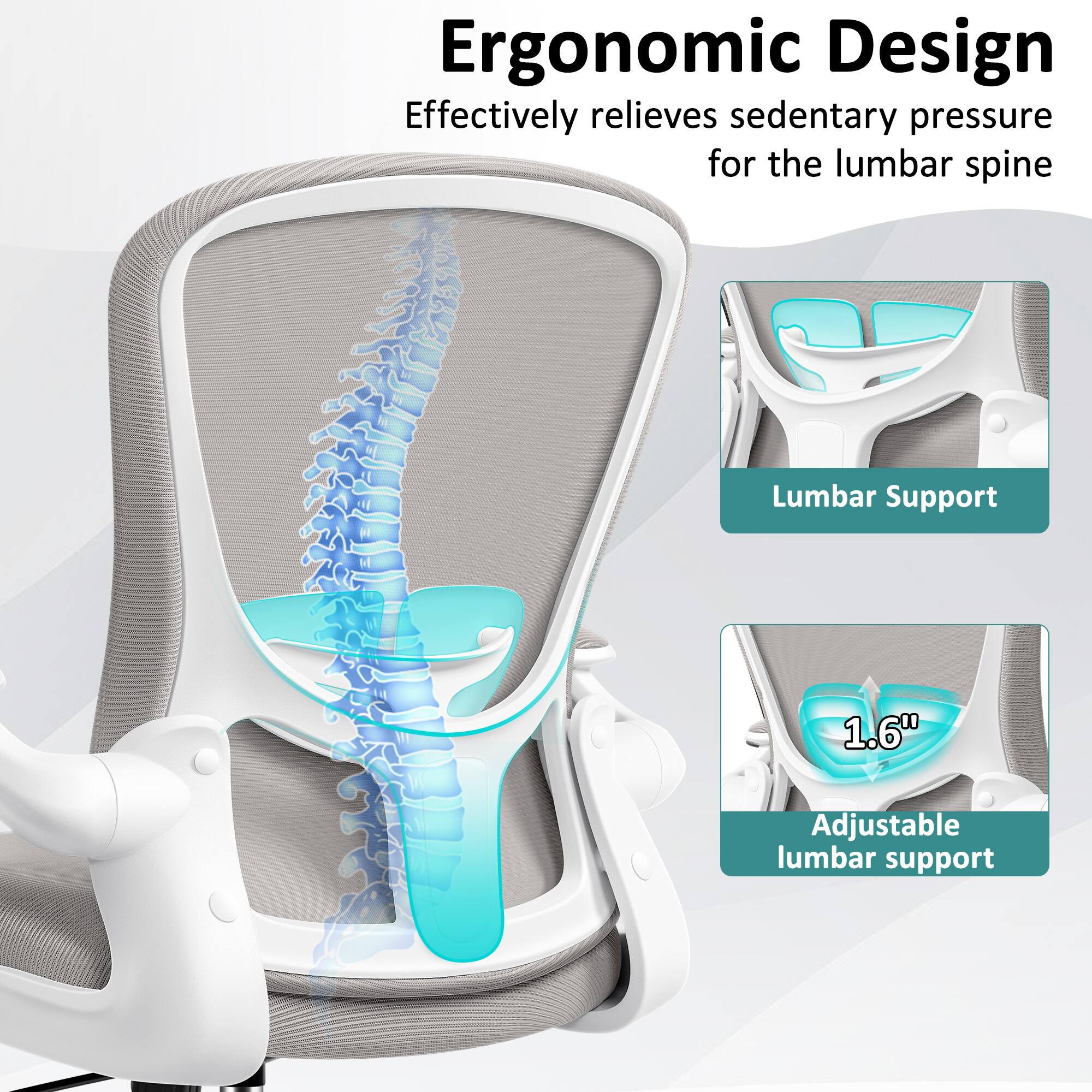 Ergonomic Design  
Effectively relieves sedentary pressure for the lumbar spine  

Lumbar Support  
1.6" Adjustable lumbar support