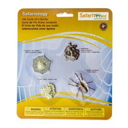 Safari Ltd. - Life Cycle Of A Spider Toy