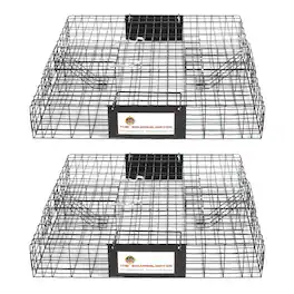 Rugged Ranch Products - Rugged Ranch SQR Squirrelinator Live Squirrel Chipmunk 2 Door Trap Cage (2 Pack) - Black