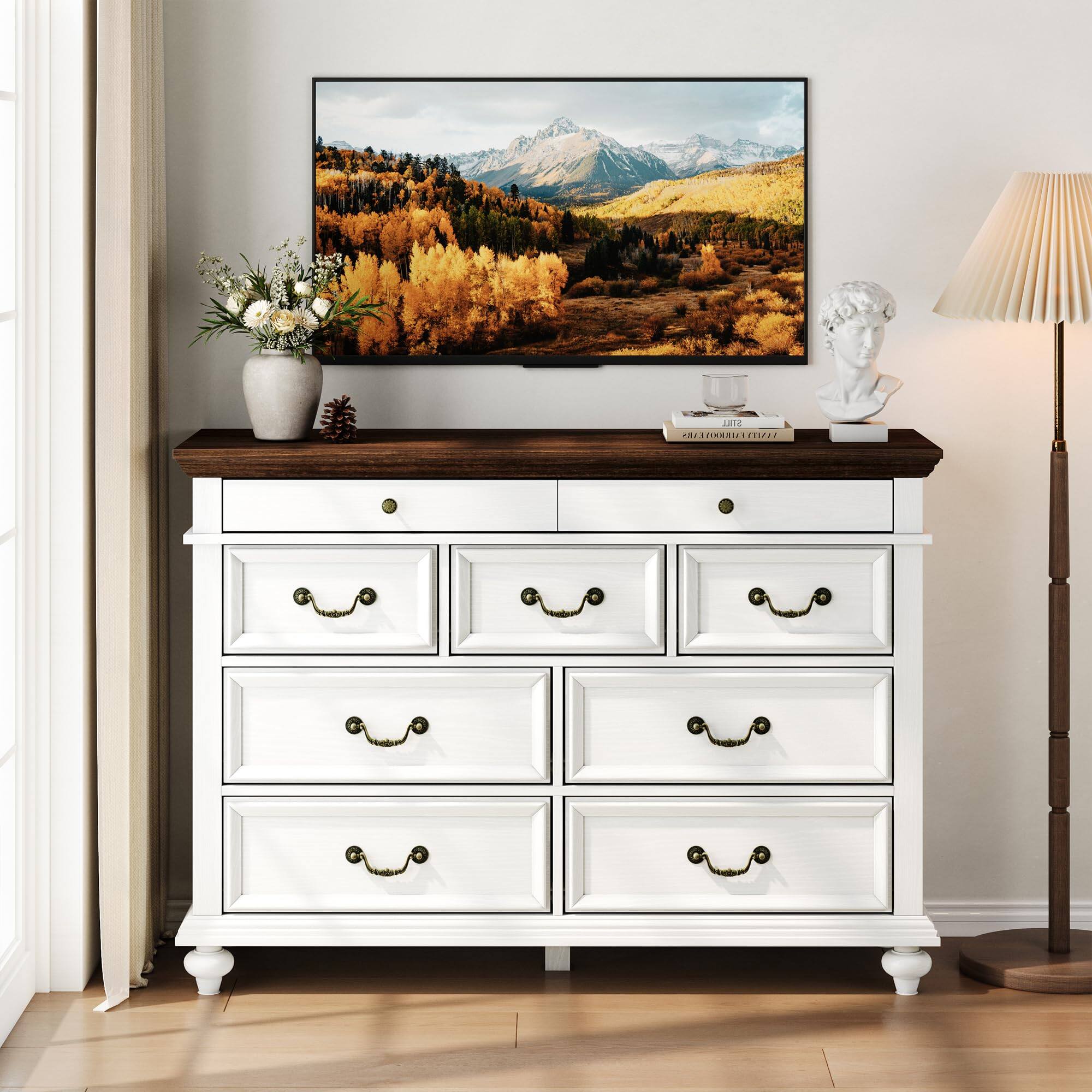 The text on the image reads:

"J.172
PHILIPPO VERONI VETTIA"