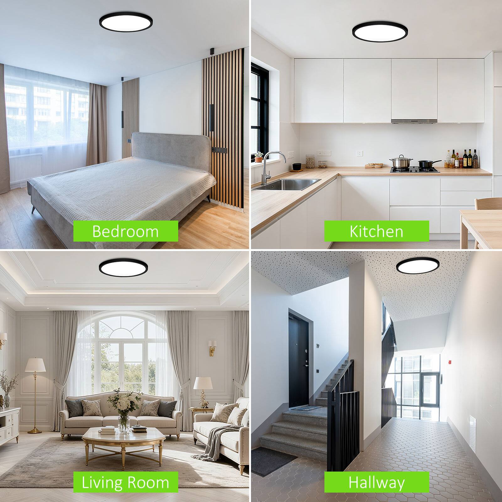 - Bedroom
- Kitchen
- Living Room
- Hallway