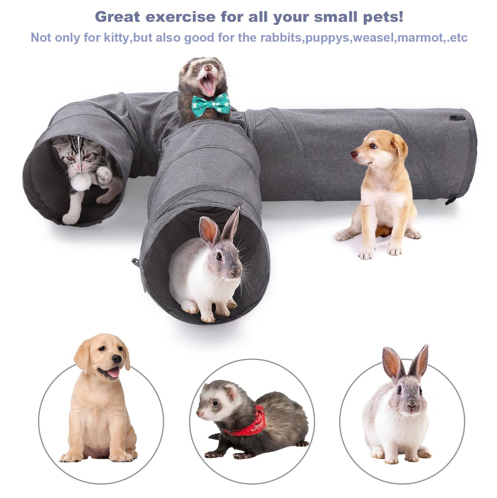 Great exercise for all your small pets! Not only for kitty, but also good for the rabbits, puppies, weasel, marmot, etc.