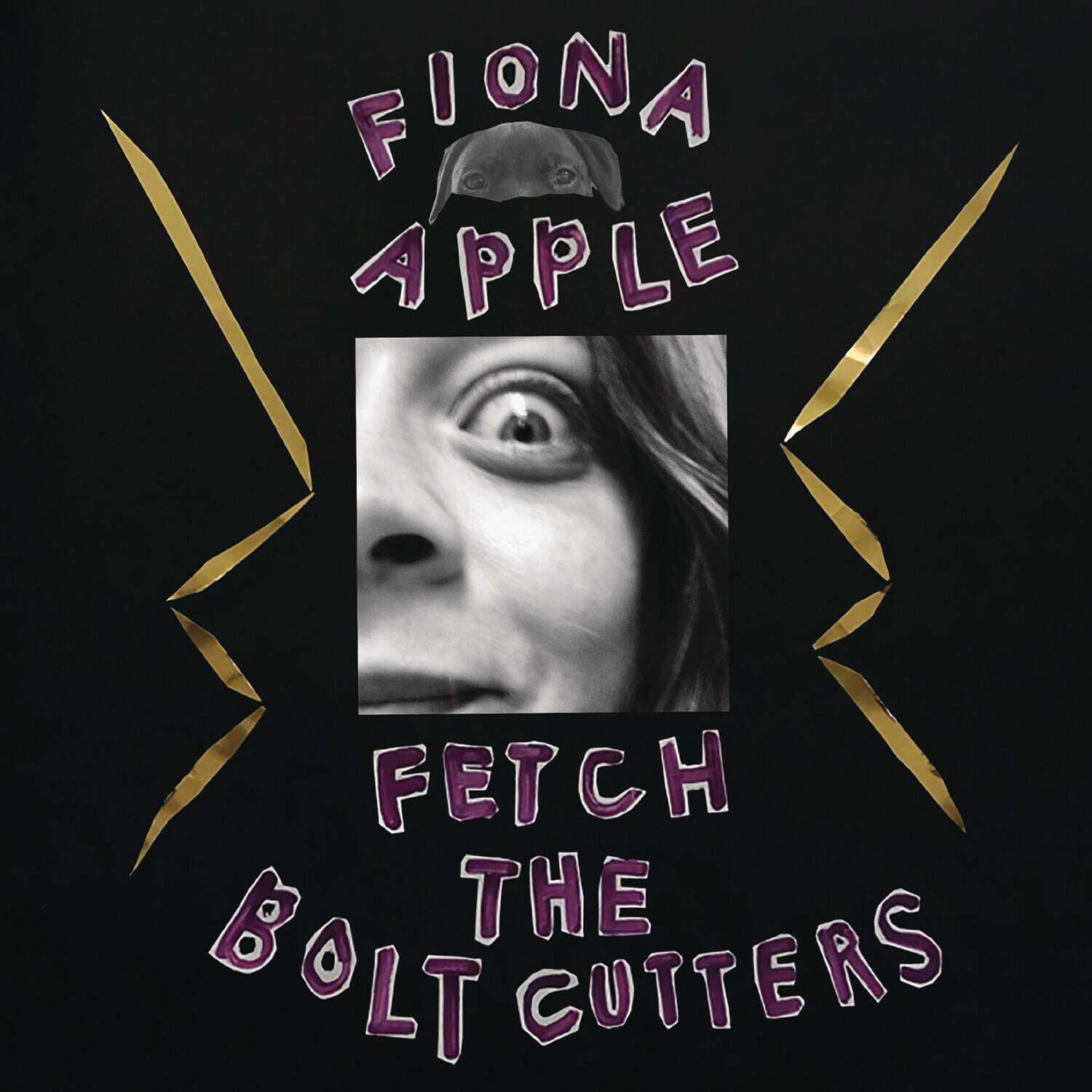 Fiona Apple - Fetch The Bolt Cutters   - COMPACT DISCS [CD]