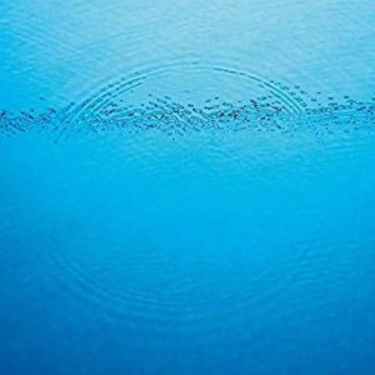 Caribou - Suddenly  - VINYL LP