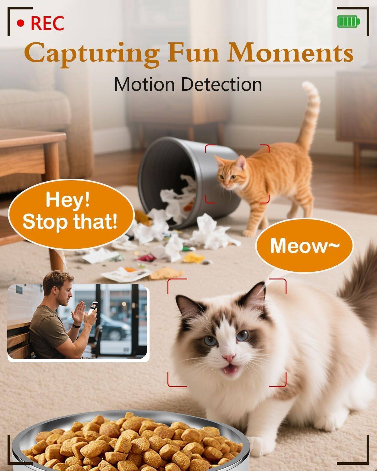 REC  
Capturing Fun Moments  
Motion Detection  

Hey! Stop that!  
Meow~