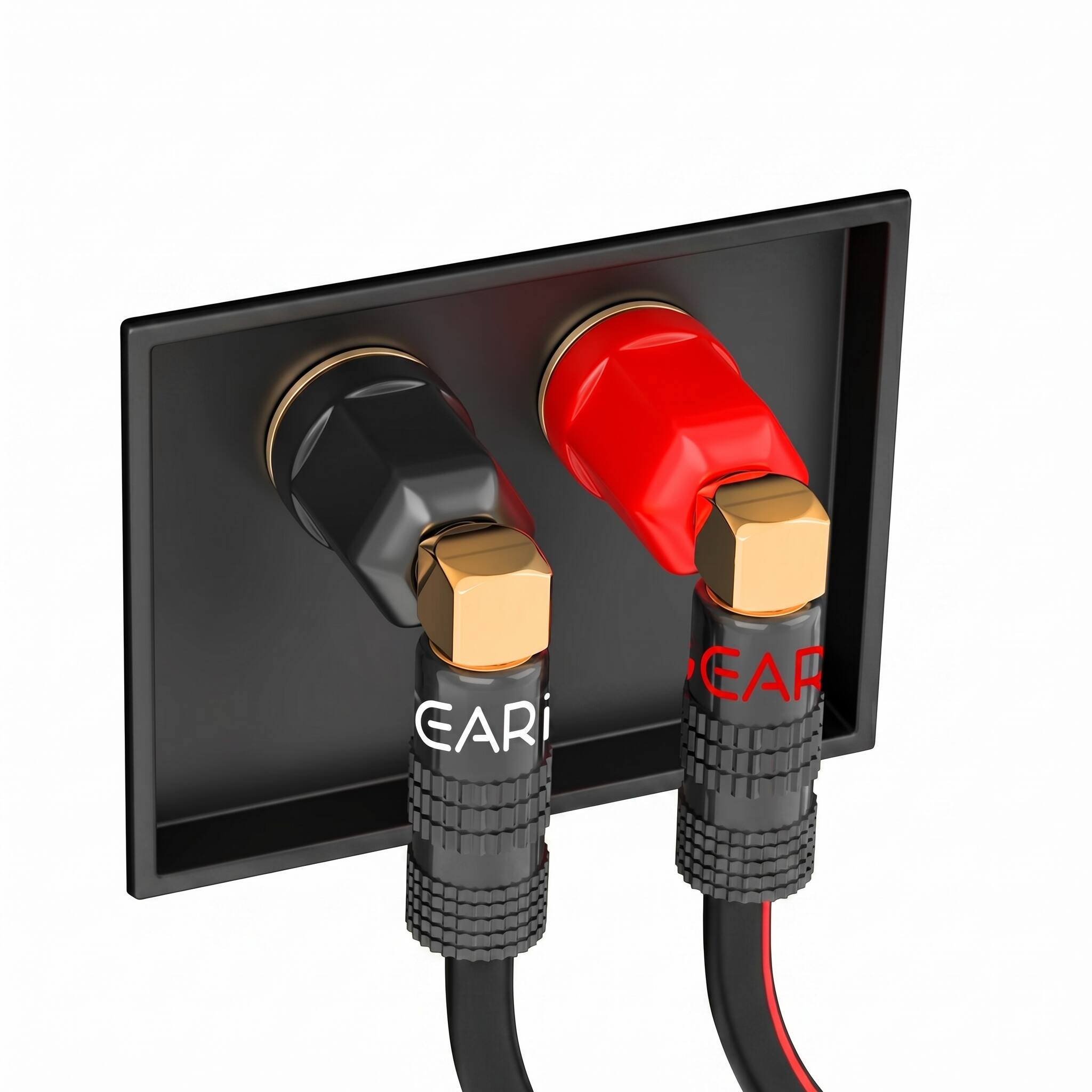 EARi EAP