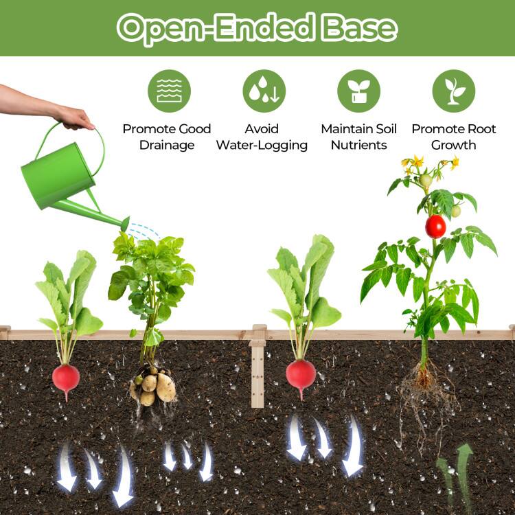 Open-Ended Base

- Promote Good Drainage
- Avoid Water-Logging
- Maintain Soil Nutrients
- Promote Root Growth