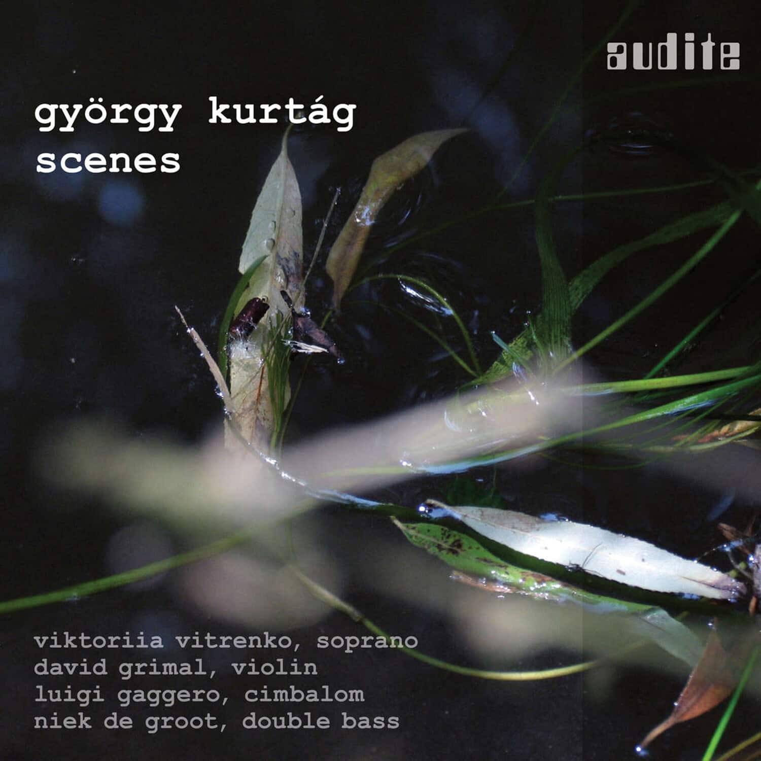 Kurtag / Vitrenko / Gaggero - Scenes   - COMPACT DISCS [CD] price history on PriceWatchPro