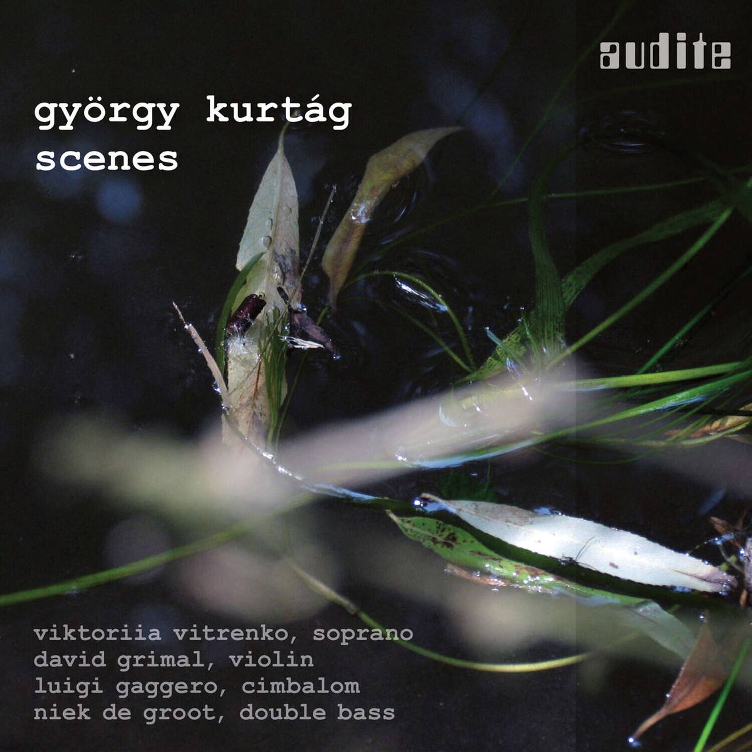 Kurtag / Vitrenko / Gaggero - Scenes   - COMPACT DISCS [CD]