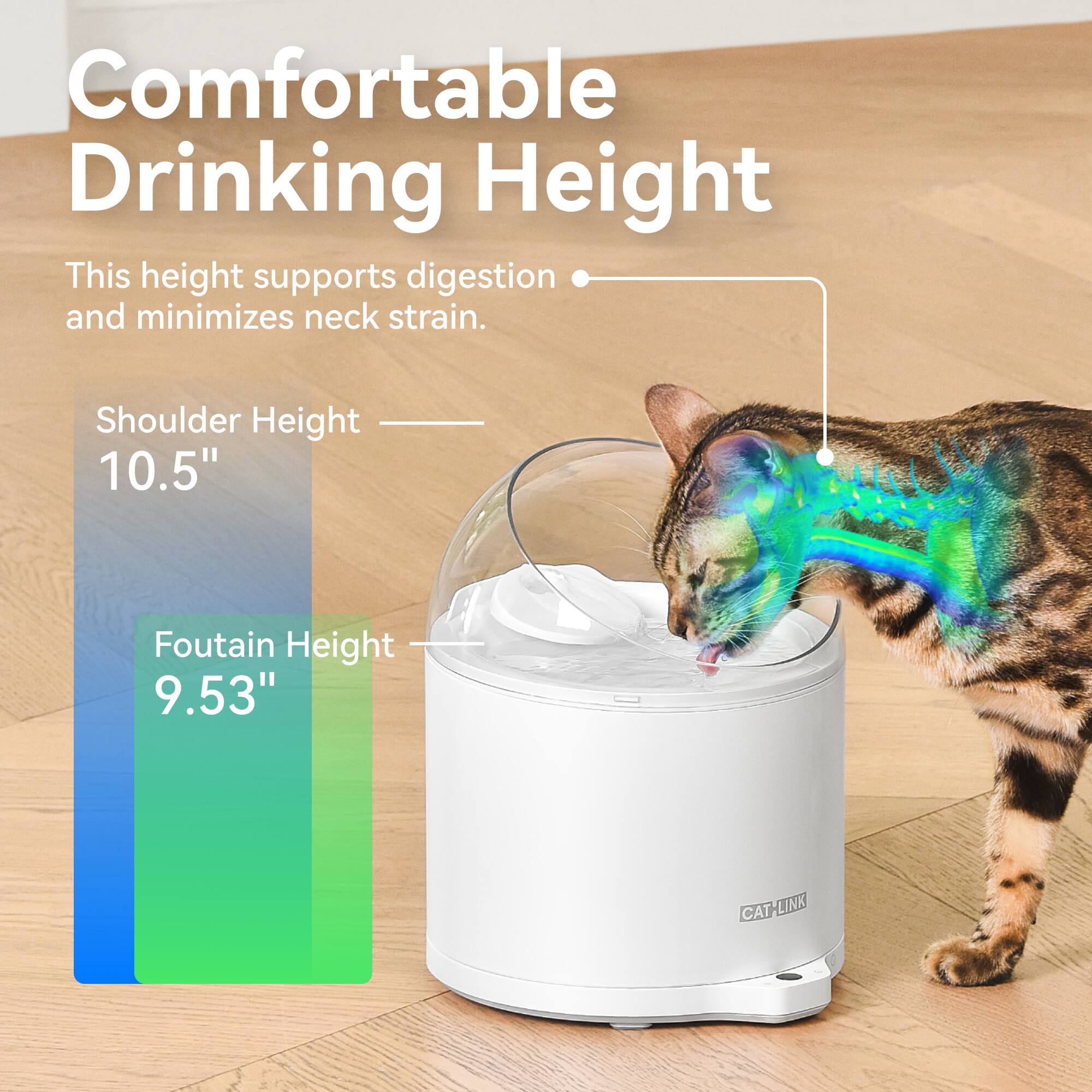 Comfortable Drinking Height

This height supports digestion and minimizes neck strain.

Shoulder Height 10.5"

Fountain Height 9.53"