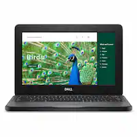 Dell - Chromebook 3120 11.6" Touchscreen Laptop Intel N-Series N100 4GB 64GB EMMC - Gray - Angle_Zoom
