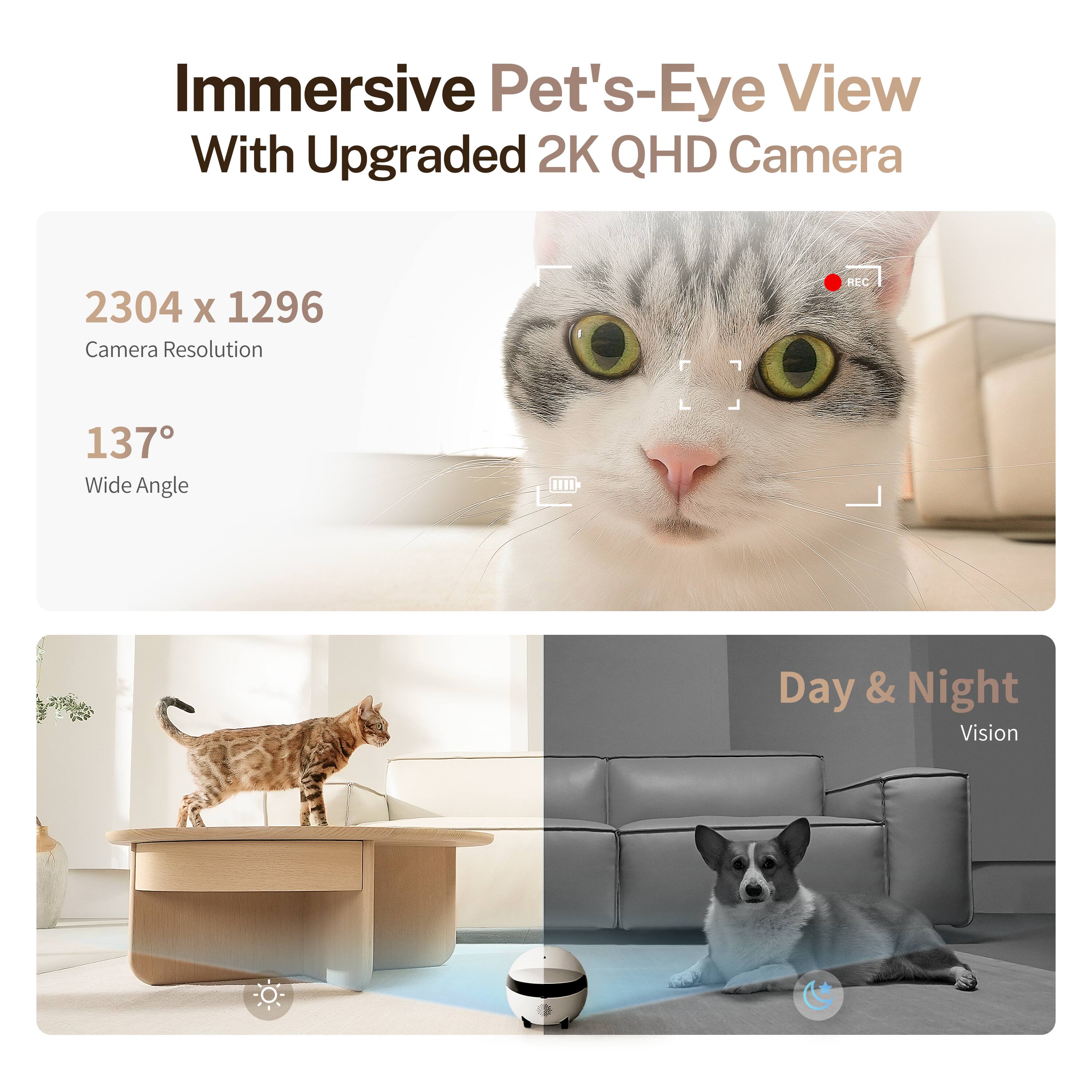 Immersive Pet's-Eye View With Upgraded 2K QHD Camera

2304 x 1296 Camera Resolution

137° Wide Angle

Day & Night Vision
