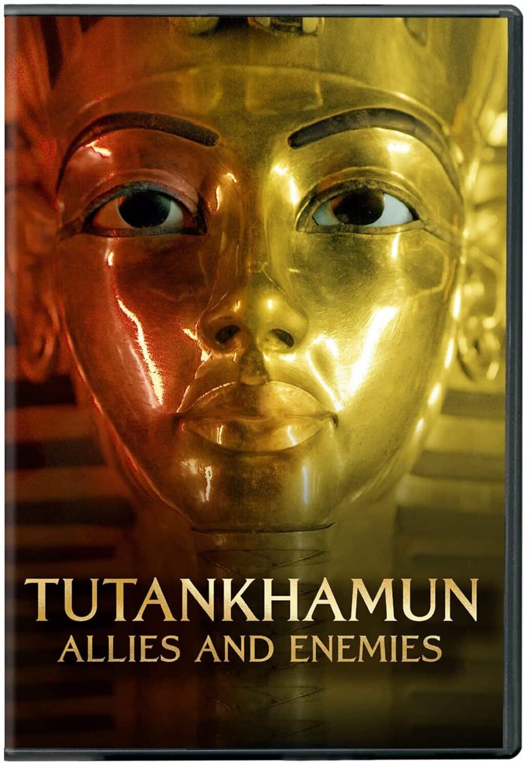 Tutankhamun: Allies And Enemies  - DVD