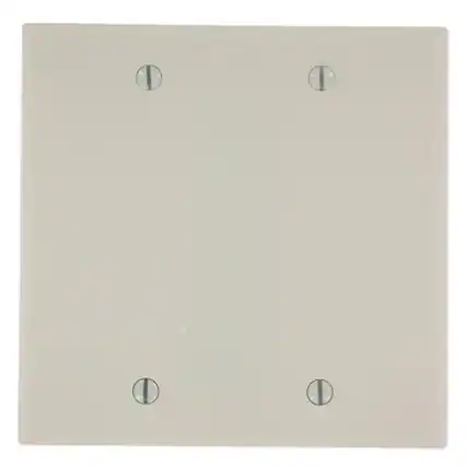 Front. Leviton - Plastic Blank Wall Plate - Ivory.