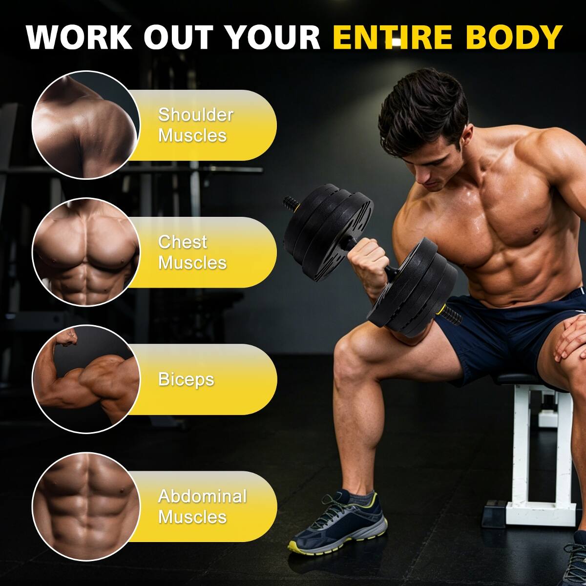 WORK OUT YOUR ENTIRE BODY

- Shoulder Muscles
- Chest Muscles
- Biceps
- Abdominal Muscles